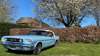 Ford Mustang Lichtblauw Ford Mustang Lichtblauw